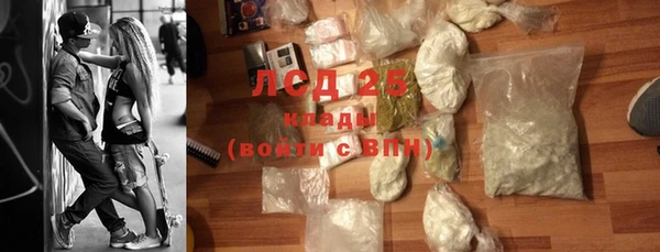 гидра Горняк