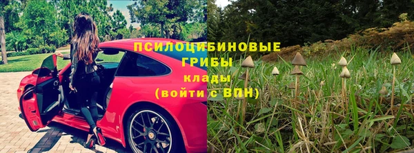 MESCALINE Гусев