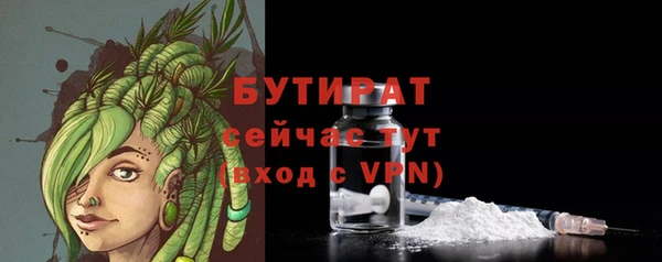 гидра Горняк