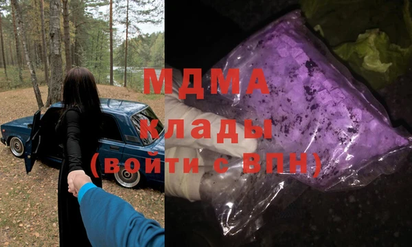 гидра Горняк