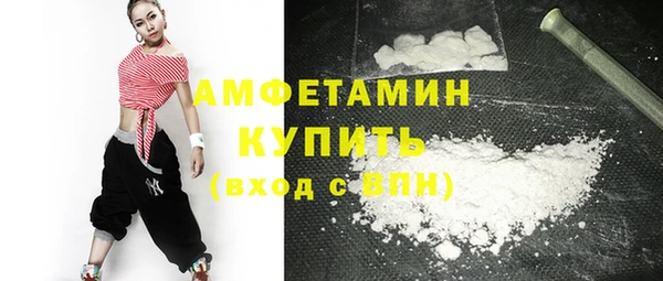 гидра Горняк