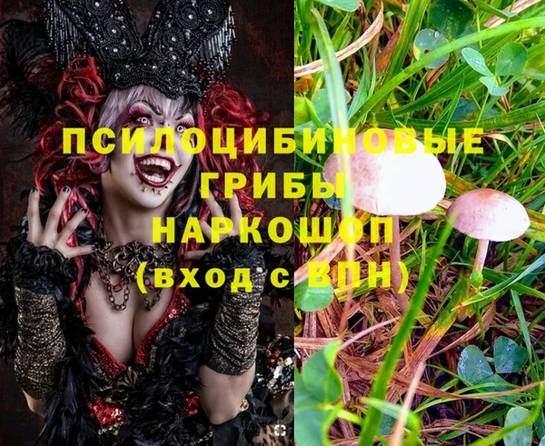 2c-b Горнозаводск
