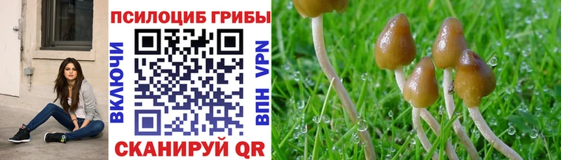 Галлюциногенные грибы ЛСД  Купить где  Каменск-Шахтинский 